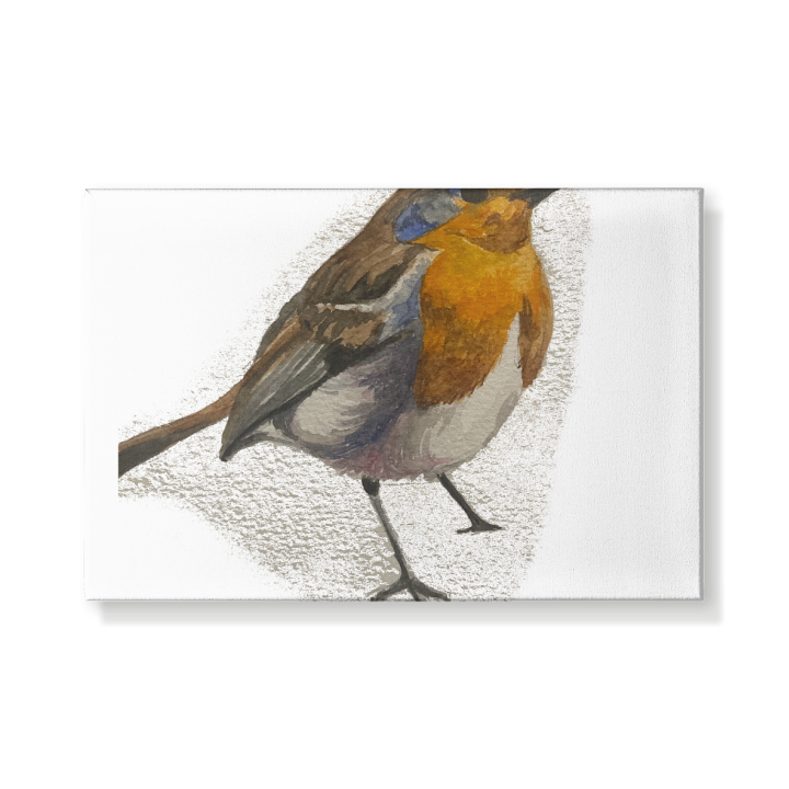 Robin Wall Art - Leinwand 30x20cm